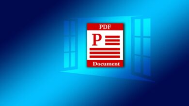 Der Umgang mit PDFs unter Windows ist simpel – und kostenlos! (Bild: OpenClipart-Vectors/Gerd Altmann)