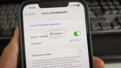 iPhone WLAN Passwörter anzeigen