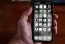 Um weniger am Smartphone zu hängen, müsst Ihr Euer Äffchen-Gehirn austricksen. (Foto: Christian Rentrop)